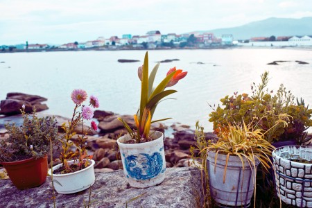 Pots at the seaside, horizontal