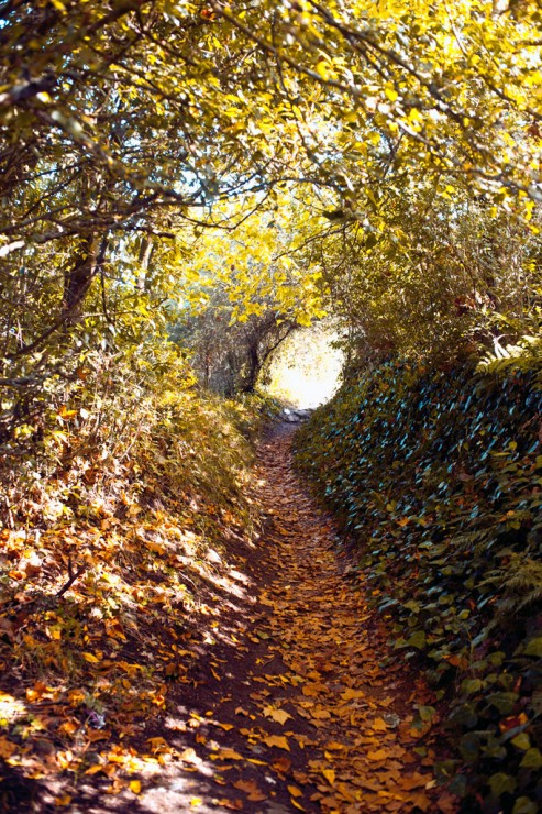 Light outside the tunnel