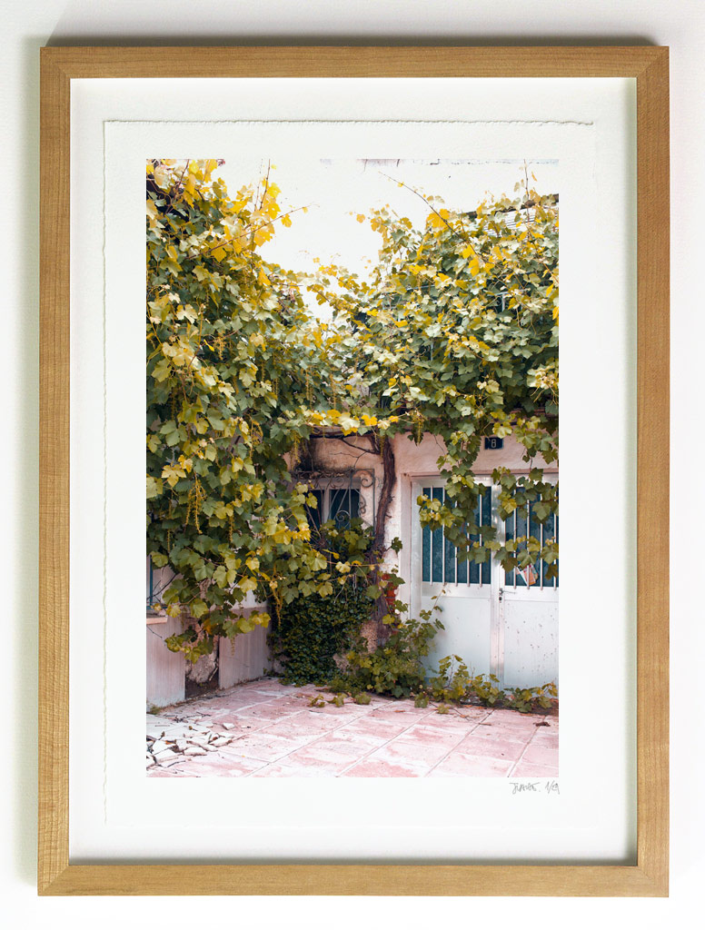 _MG_0014-frame-vertical vine house frame suggestion