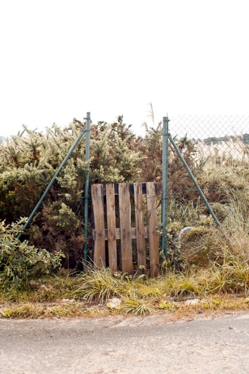 Gate in the fence 03