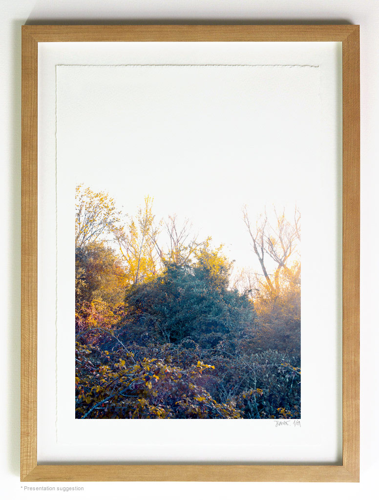 _MG_4425-frame-vertical