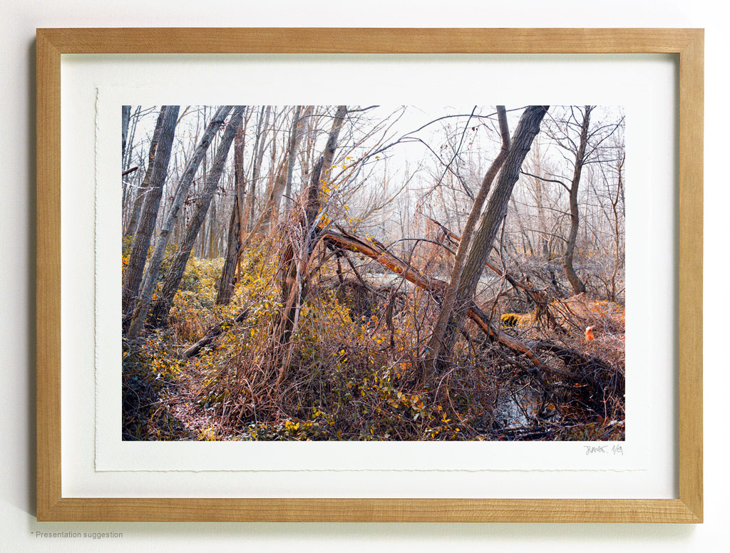 _MG_6751-frame Alongside Jarama river, frame suggestion