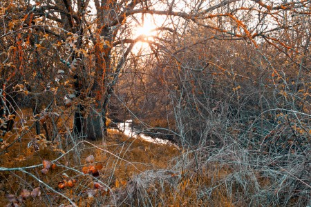 Sunset on the creek