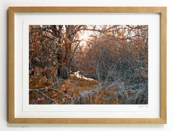 Sunset on the creek, frame suggestion