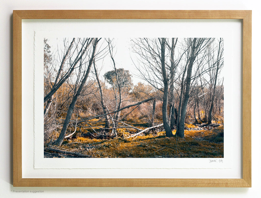 _MG_8203-frame Death, in the brook. Frame suggeston