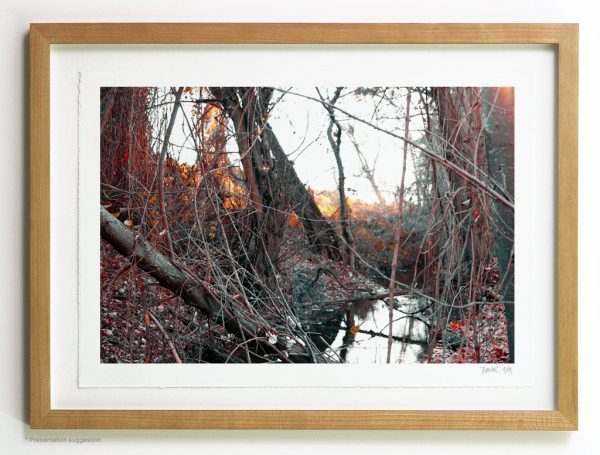 In the creek, frame suggestion
