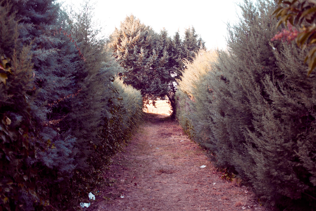 _MG_2014 Light's out of the hole