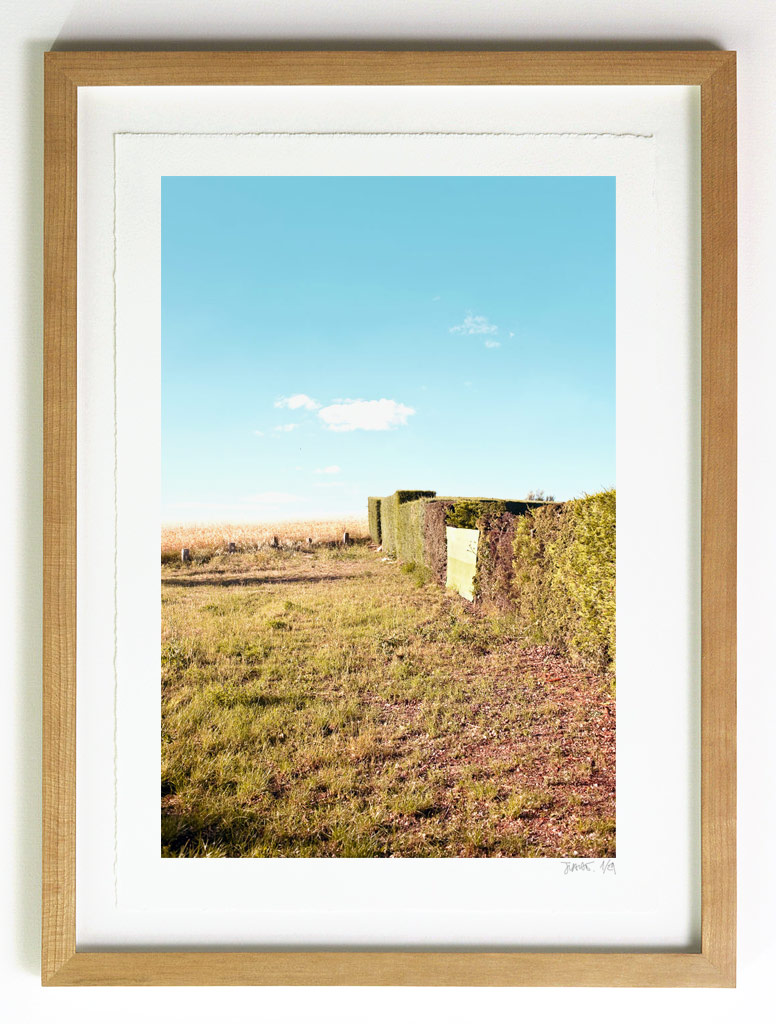 fence-framed Fence 02 frame suggestion