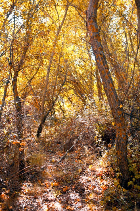 Difficult to progress