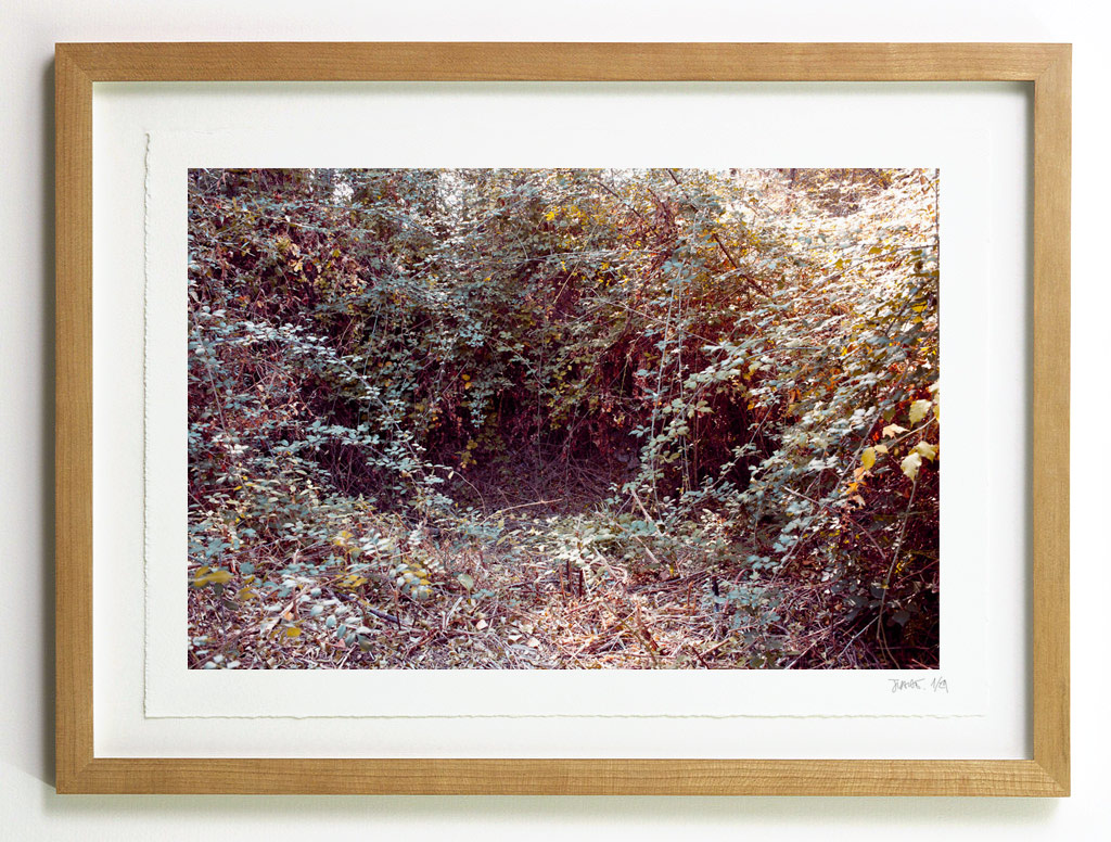 _MG_1692-frame Dark in the brambles frame suggestion