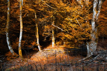 Light in the darkest 02